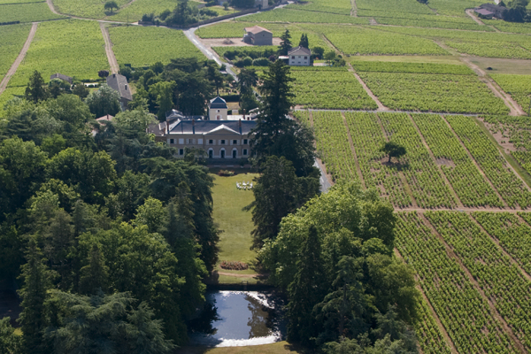 Château lifestyle and 12 ha of vineyard